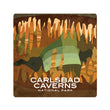 Load image into Gallery viewer, National Parks Coasters