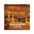 Load image into Gallery viewer, National Parks Coasters
