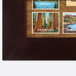 Load image into Gallery viewer, National Parks Travel Map