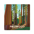 Load image into Gallery viewer, National Parks Coasters
