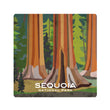 Load image into Gallery viewer, National Parks Coasters