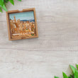 Load and play video in Gallery viewer, National Parks Coasters