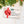 Load image into Gallery viewer, Gift Card
