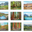 Load image into Gallery viewer, National Park Prints with Teak Frame

