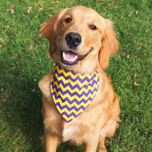 MN Viking and Gopher Team Colors - Dog Bandanas