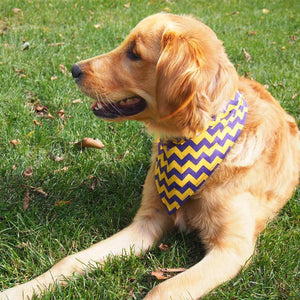 MN Viking and Gopher Team Colors - Dog Bandanas