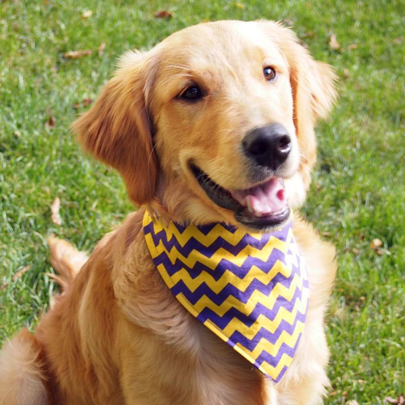 MN Viking and Gopher Team Colors - Dog Bandanas