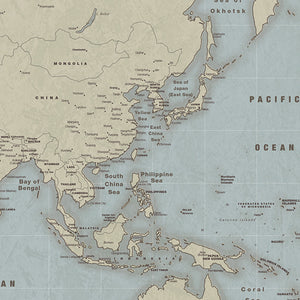 Contemporary World Travel Map